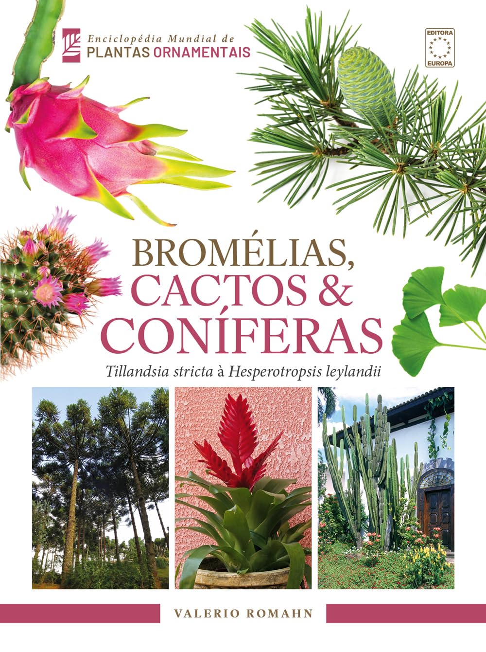 Enciclopédia Mundial de Plantas Ornamentais - Bromélias, Cactos & Coníferas baixar livro de graça