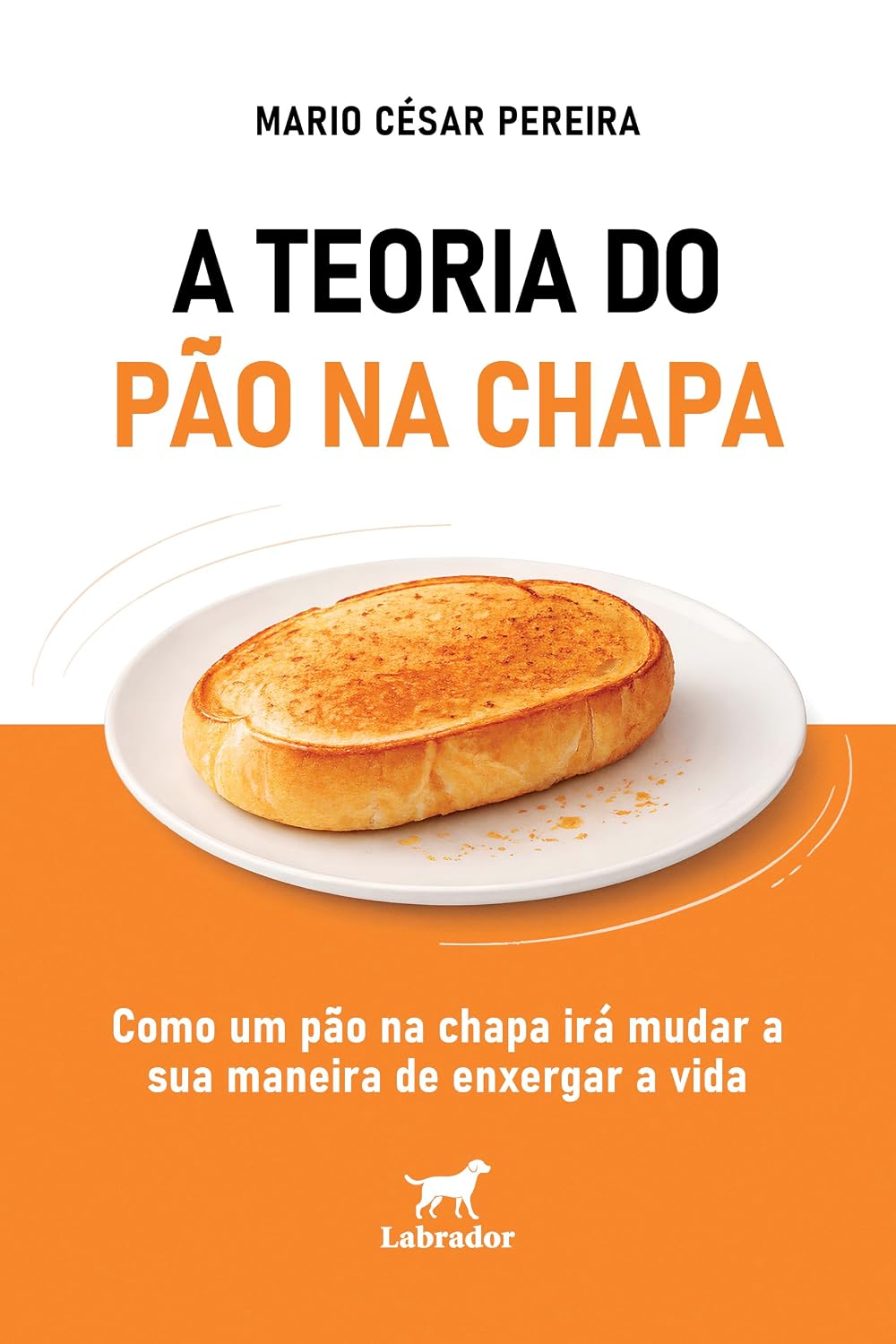 capítulo por capítulo baixar A teoria do pão na chapa: "Como um pão na chapa irá mudar a sua maneira de enxergar a vida"