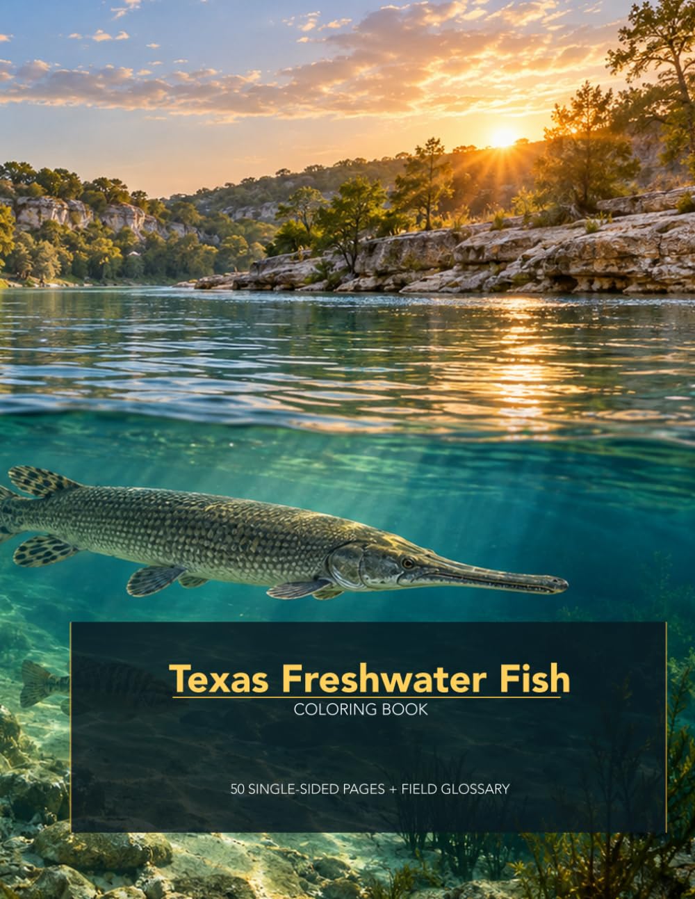Texas Freshwater Fish Coloring Book: 50 Single-Sided Pages Featuring Native Fish, River Life, and a Helpful Glossary baixar o livro de graça