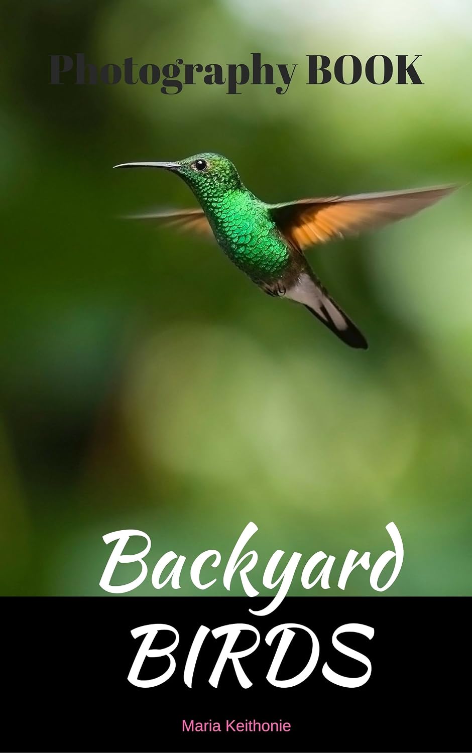 ler totalmente Backyard Birds Photography Book: A colorful photographing birds: Bird branch natural Birds Photo image (English Edition)