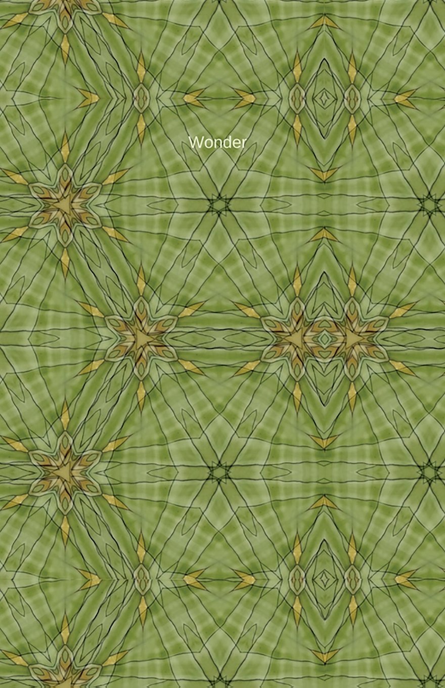 Wonder: Journal/Planner baixar livro de graça