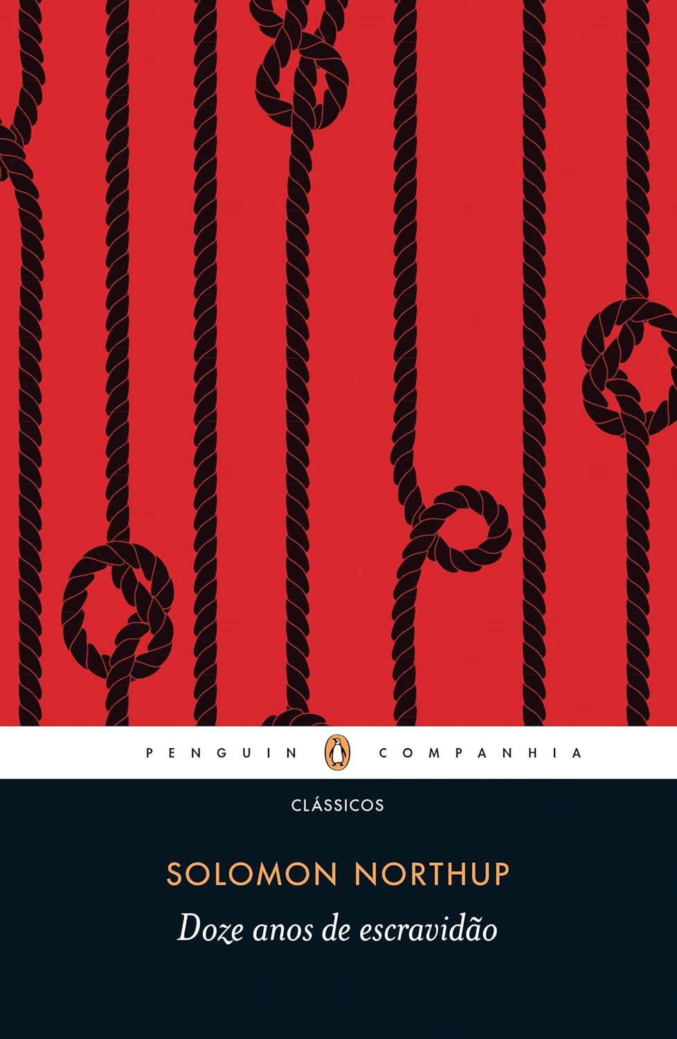 capítulo por capítulo baixar Doze Anos de Escravidão