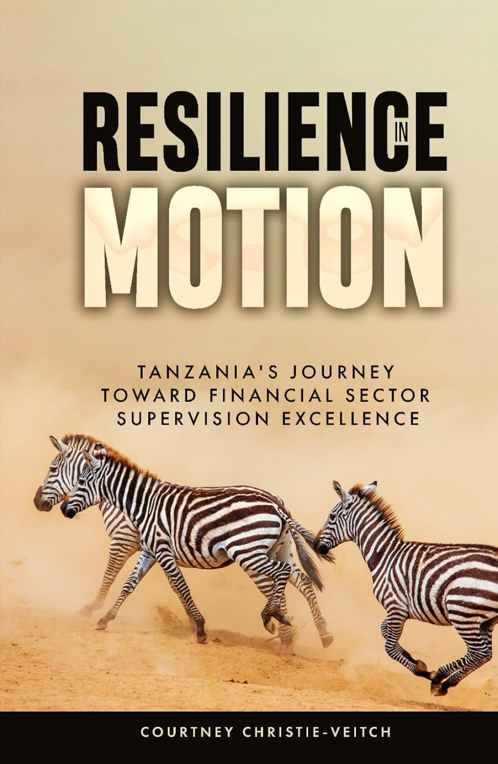 ler totalmente RESILIENCE IN MOTION: Tanzania's Journey Toward Financial Sector Supervision Excellence