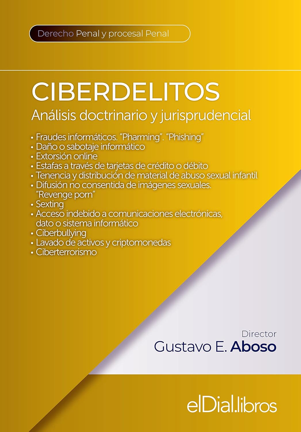 Ciberdelitos: Análisis doctrinario y jurisprudencial (Derecho Penal y Procesal Penal) (Spanish Edition) baixar o livro de graça