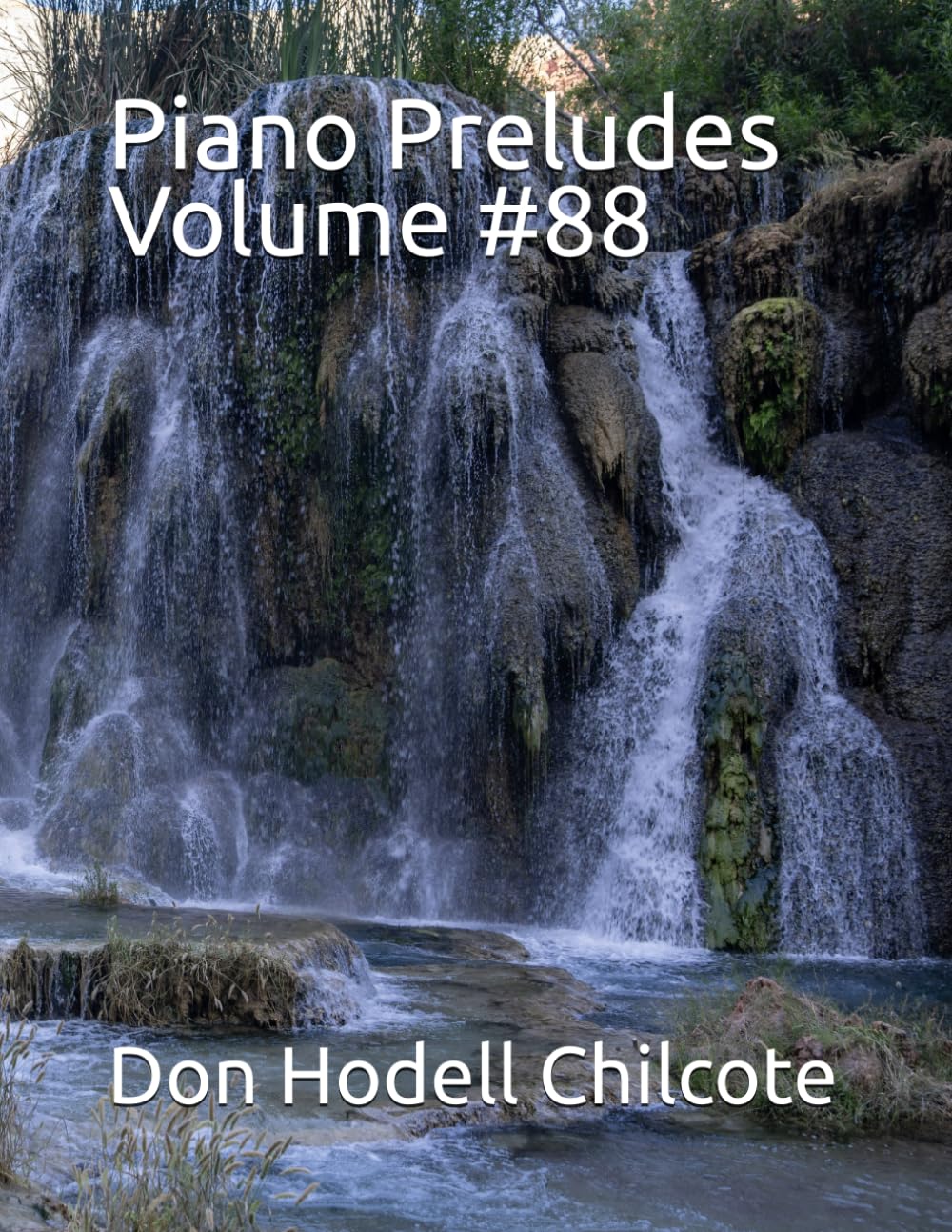 ler totalmente Piano Preludes Volume #88