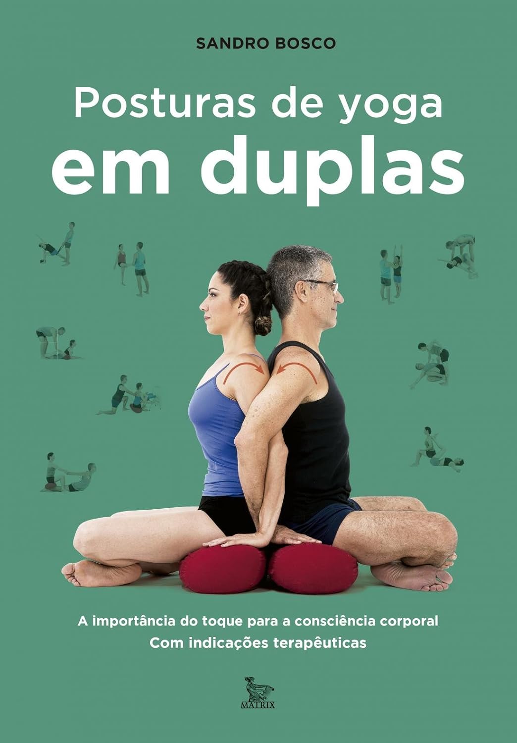 Posturas de yoga em duplas baixar o livro de graça