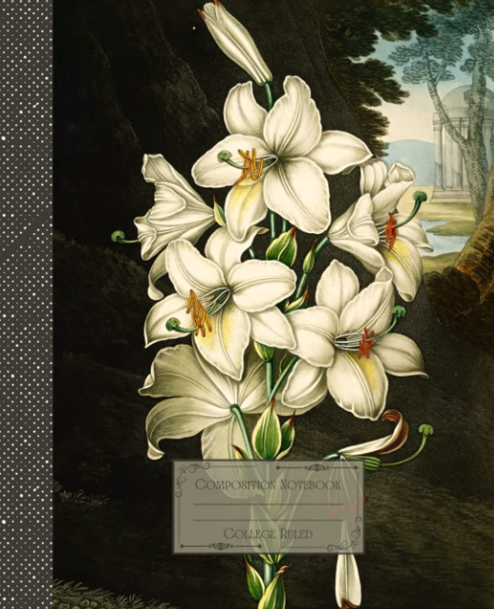 capítulo por capítulo baixar Vintage Flower Composition Notebook College Ruled: Antique Botanical Flower Illustration | Classic Composition Notebook for Writing and Journaling |... for College Students, School and Work.