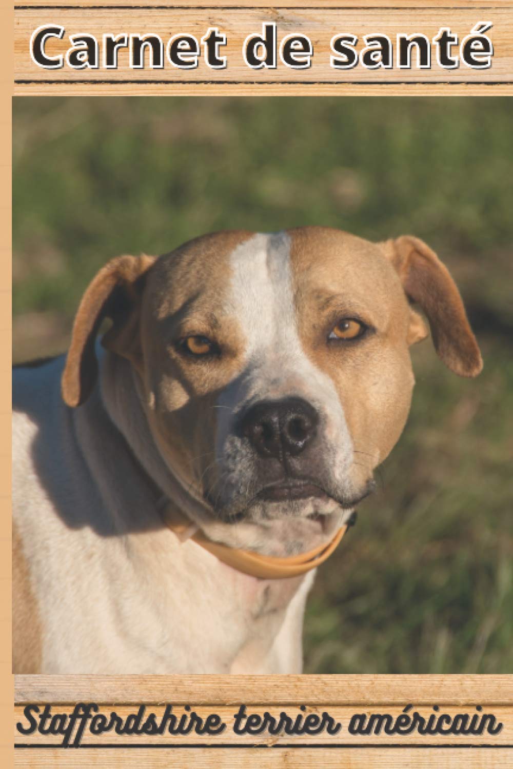 CARNET DE SANTE STAFFORDSHIRE TERRIER AMERICAIN: Mon cahier de suivi santé chien Staffordshire terrier américain à remplir ou compléter | Mon carnet... 15,24 cm sur 22,86 cm (French Edition) baixar o livro de graça