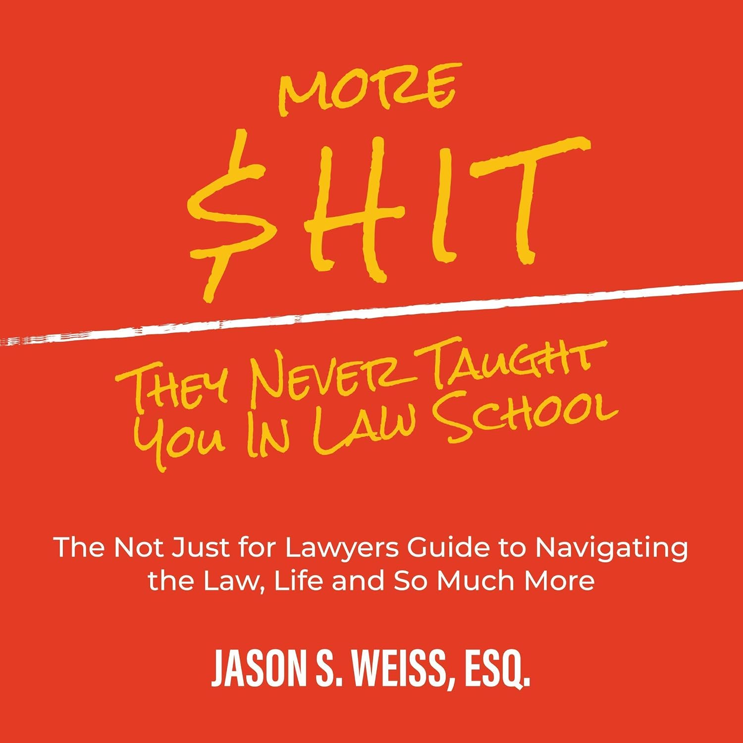 More $hit They Never Taught You in Law School: The Not Just for Lawyers Guide to Navigating the Law, Life and So Much More baixar o livro de graça
