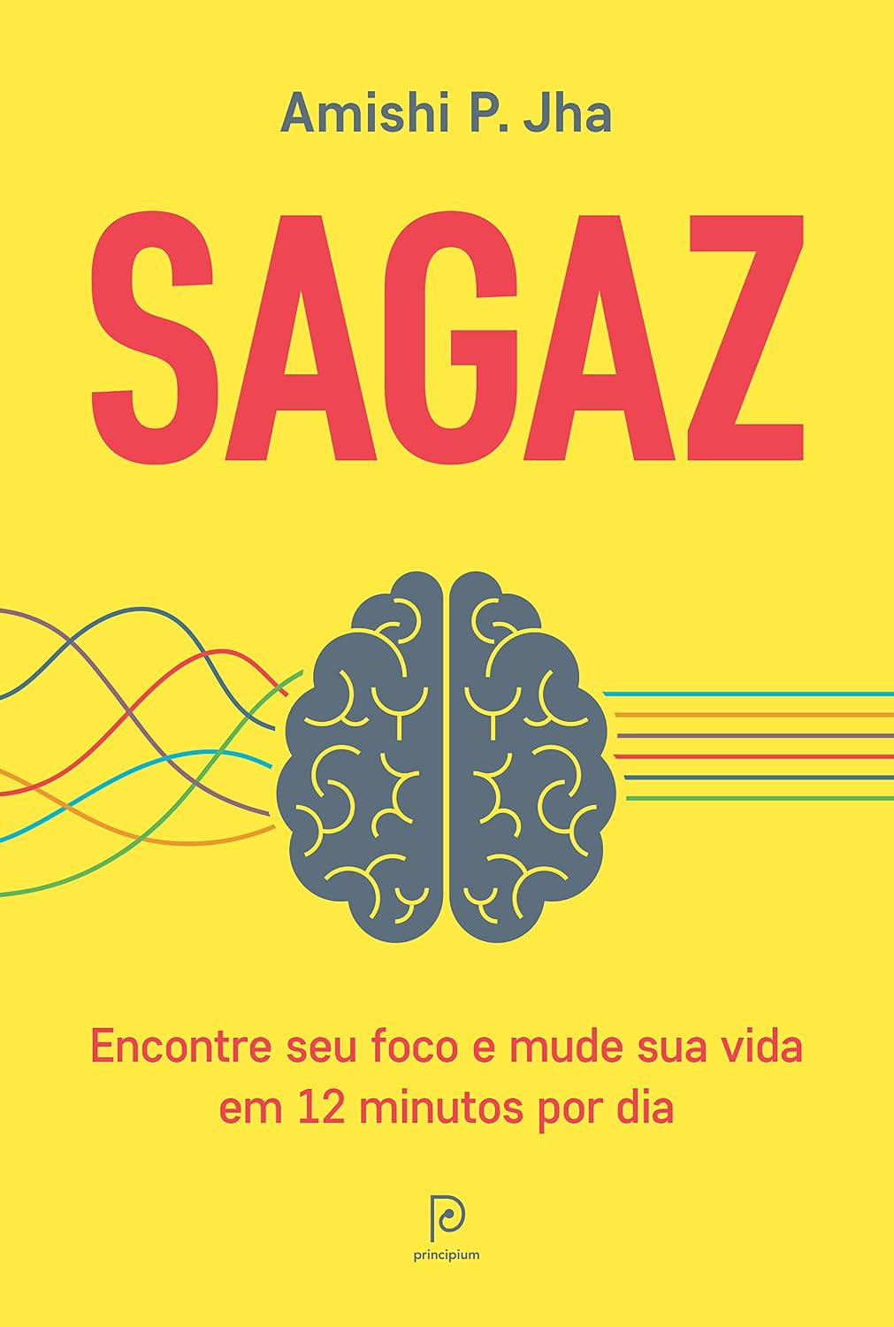 Sagaz: Encontre seu foco e mude sua vida em 12 minutos por dia baixar livro de graça