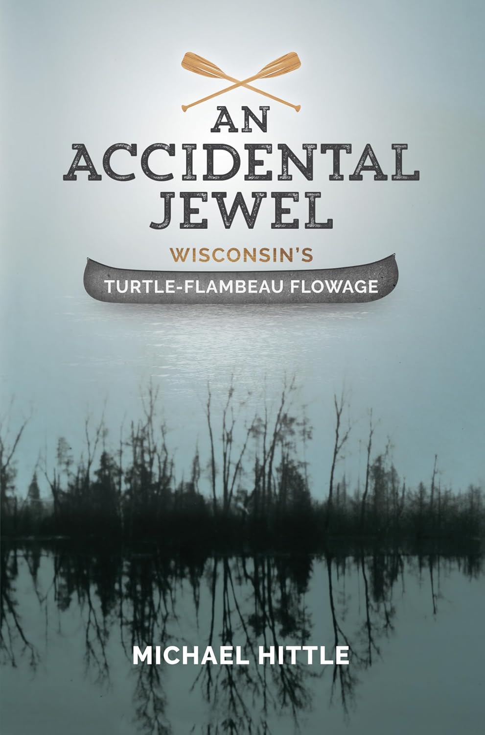 capítulo por capítulo baixar An Accidental Jewel (English Edition)