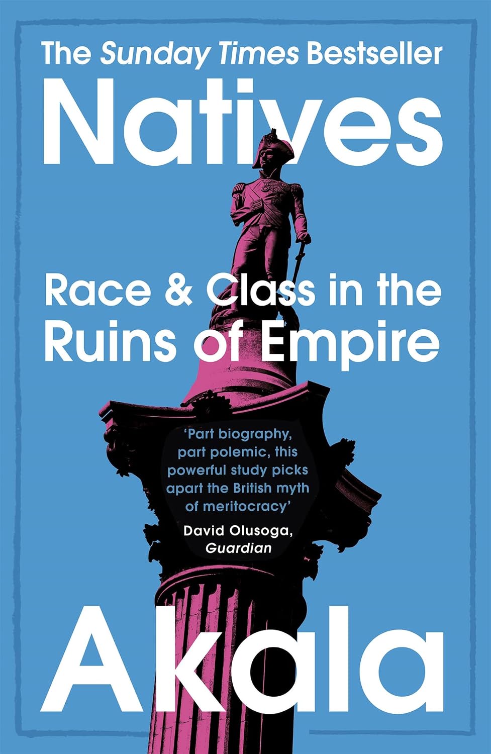 Natives: Race and Class in the Ruins of Empire - The Sunday Times Bestseller baixar livro de graça