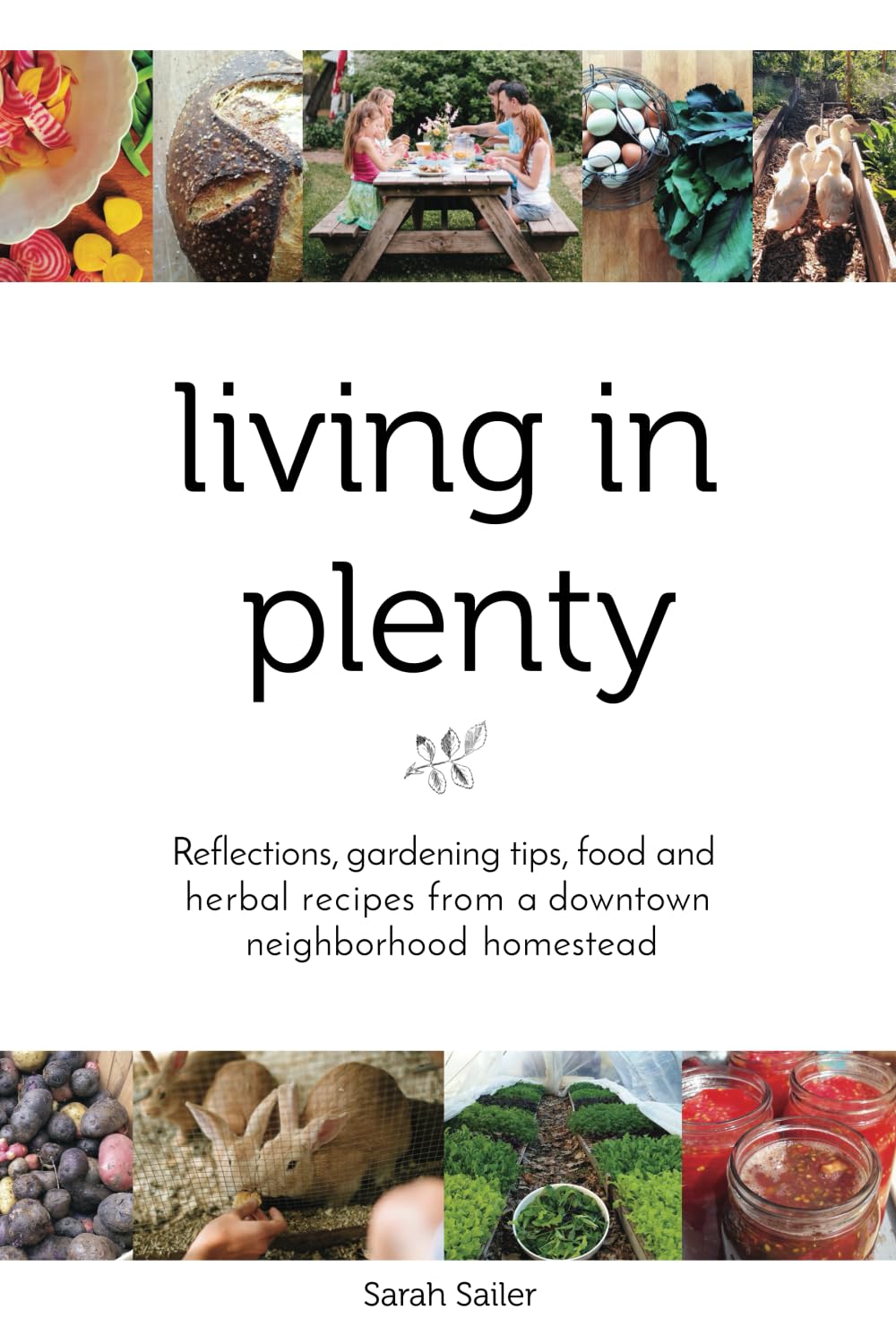 Living in Plenty: Reflections, gardening tips, food and herbal recipes from a downtown neighborhood homestead baixar livro de graça