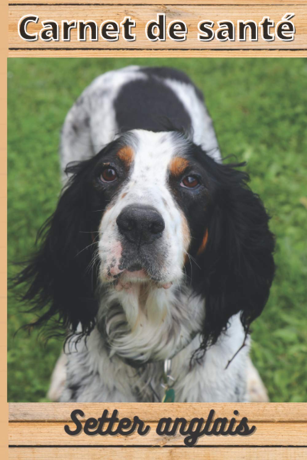 CARNET DE SANTE SETTER ANGLAIS: Mon cahier de suivi santé chien Setter anglais à remplir ou compléter | Mon carnet santé chien | cadeau idéal pour... cm sur 22,86 cm 101 pages (French Edition) baixar o livro de graça