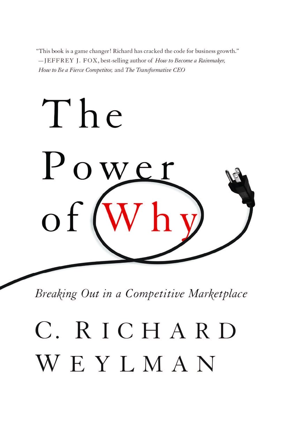 ler totalmente The Power of Why: Breaking Out In a Competitive Marketplace (English Edition)