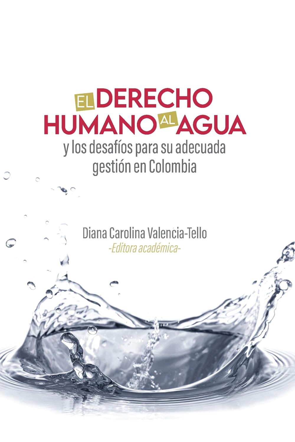 El derecho humano al agua y los desafíos para su adecuada gestión en Colombia (Spanish Edition) baixar livro de graça