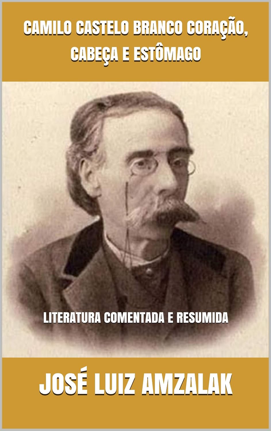 ler totalmente CAMILO CASTELO BRANCO CORAÇÃO, CABEÇA E ESTÔMAGO: LITERATURA COMENTADA E RESUMIDA