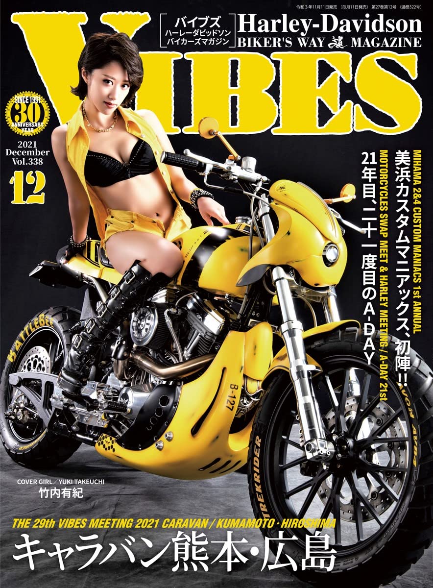 capítulo por capítulo baixar VIBES: volumeThreehundredthirtyeight (Japanese Edition)