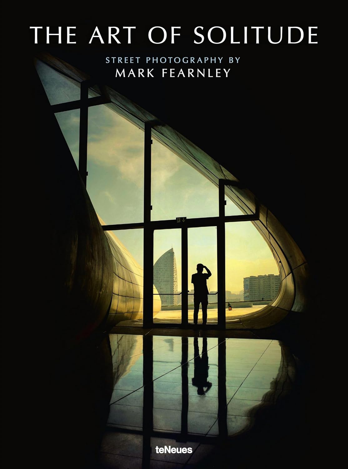 The Art of Solitude: Street Photography by Mark Fearnley baixar o livro de graça