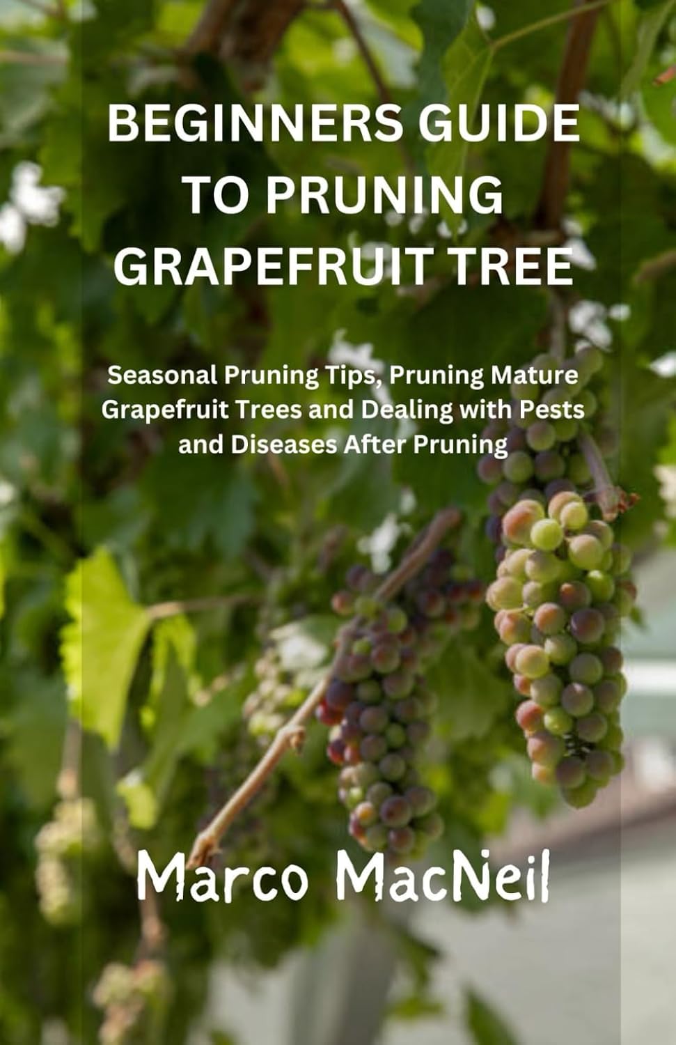BEGINNERS GUIDE TO PRUNING GRAPEFRUIT TREE: Seasonal Pruning Tips, Pruning Mature Grapefruit Trees and Dealing with Pests and Diseases After Pruning baixar livro de graça