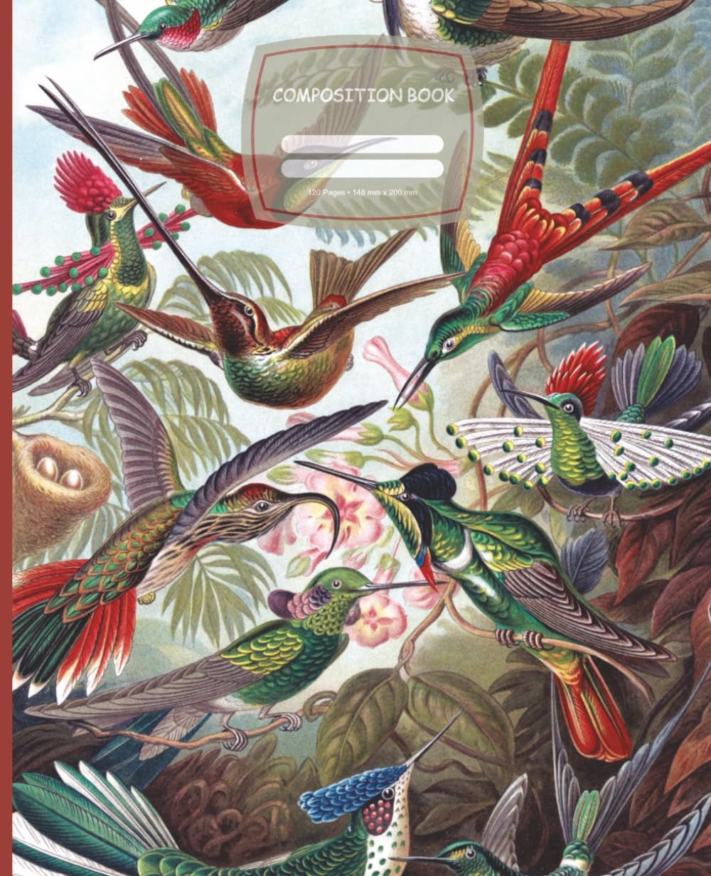 ler totalmente Composition Notebook: Vintage Hummingbird Illustration: llustrated Natural History Art | College-Ruled, 120 Pages | Botanical & Bird Aesthetic