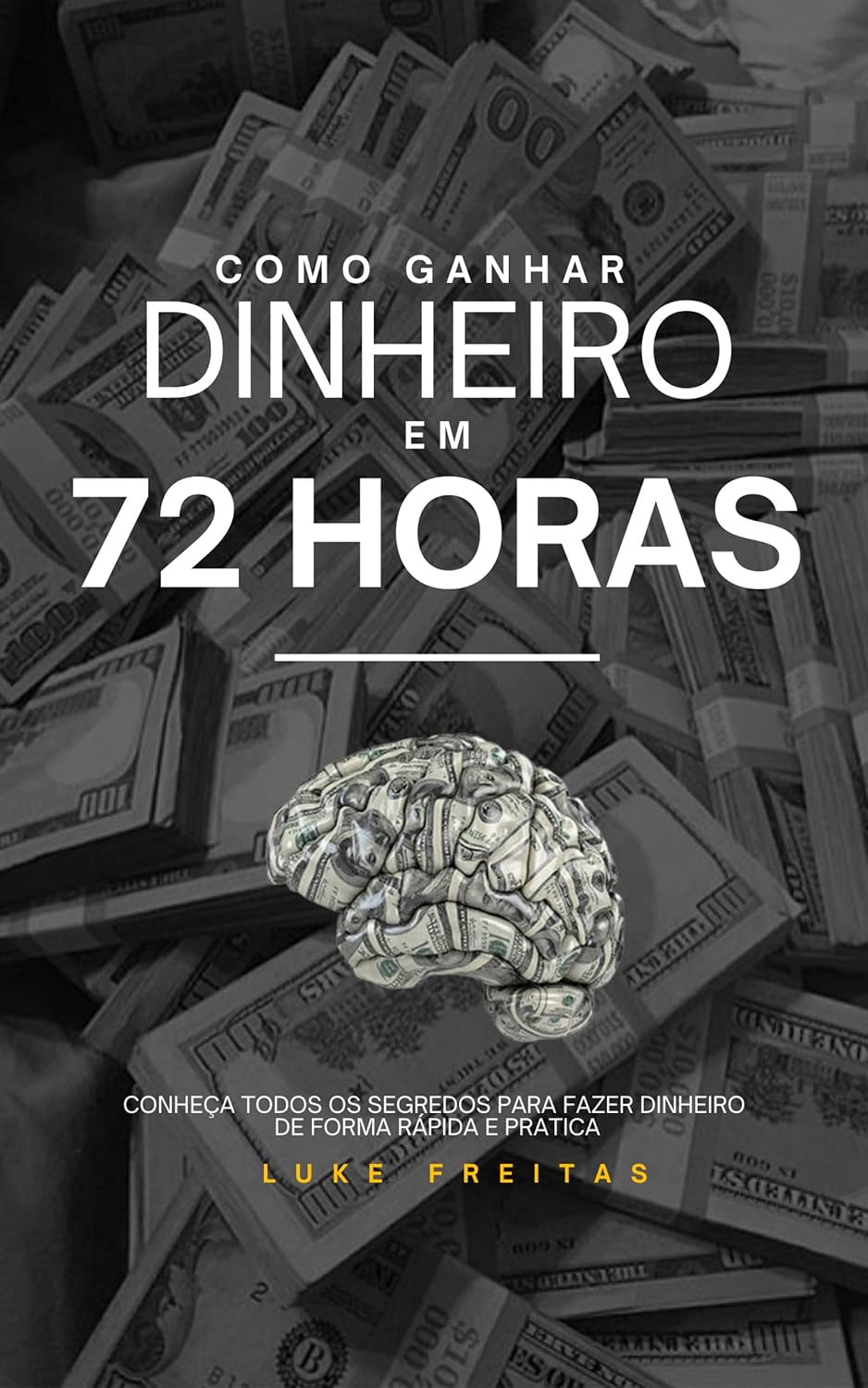 Como ganhar dinheiro em 72 Horas baixar livro de graça