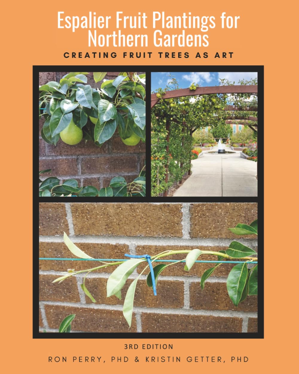 Espalier Fruit Plantings for Northern Gardens: Creating Fruit Trees As Art baixar livro de graça