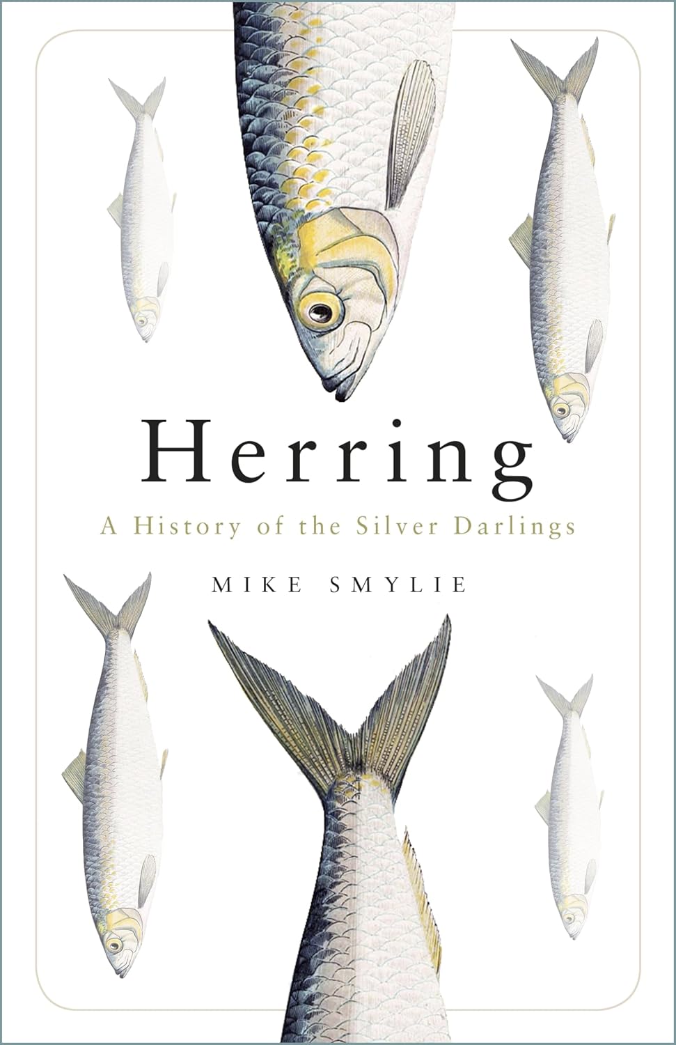 Herring: A History of the Silver Darlings (English Edition)