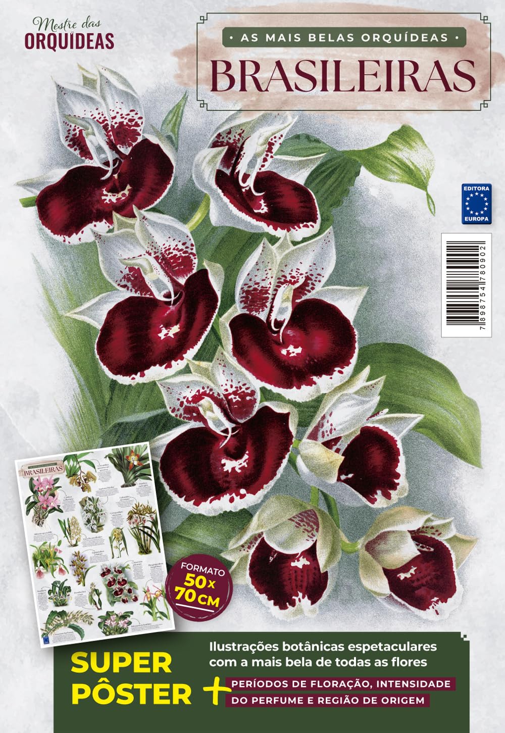 capítulo por capítulo baixar As Mais Belas Orquídeas Brasileiras - Pôster Mestre das Orquídeas