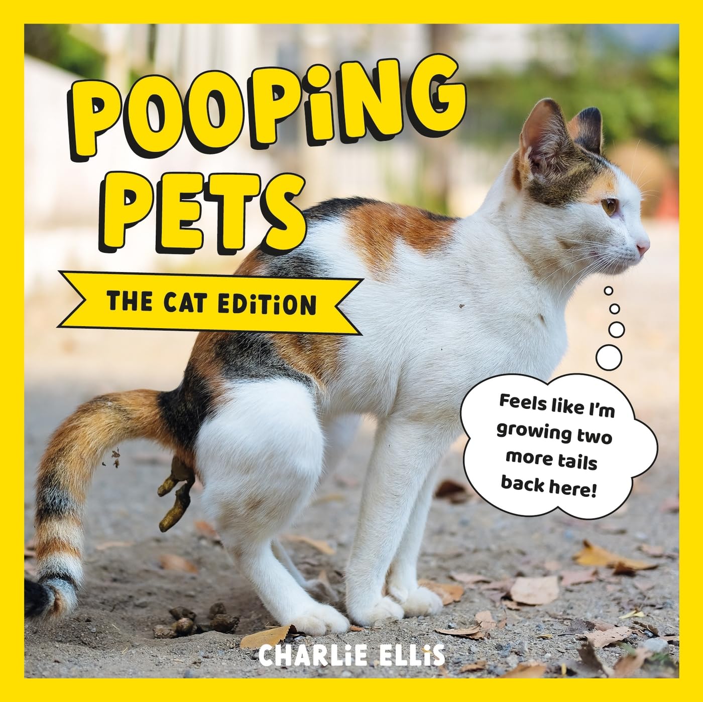 Pooping Pets: The Cat Edition: Hilarious Snaps of Kitties Taking a Dump (English Edition) baixar livro de graça