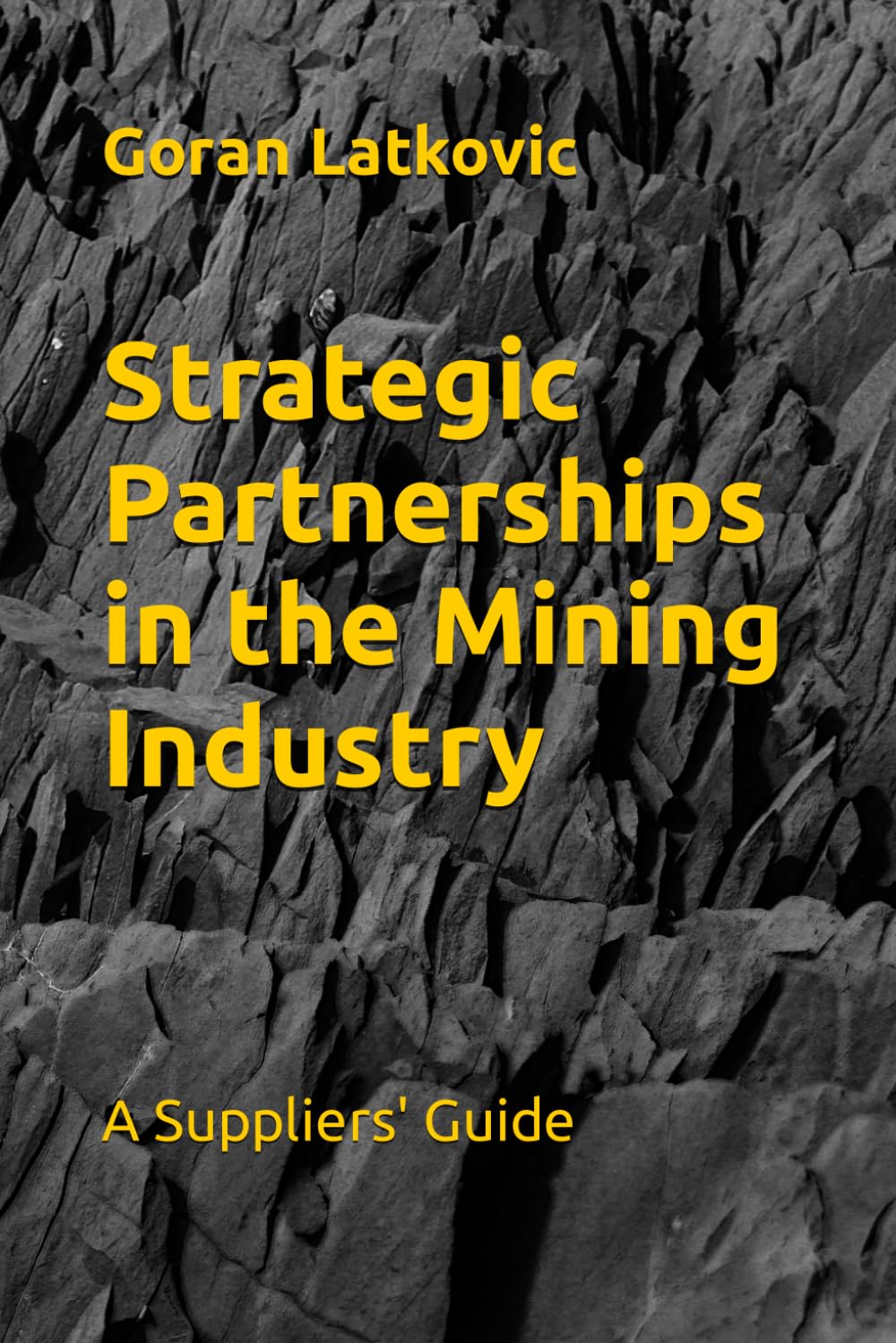 Strategic Partnerships in the Mining Industry: A Suppliers' Guide baixar o livro de graça