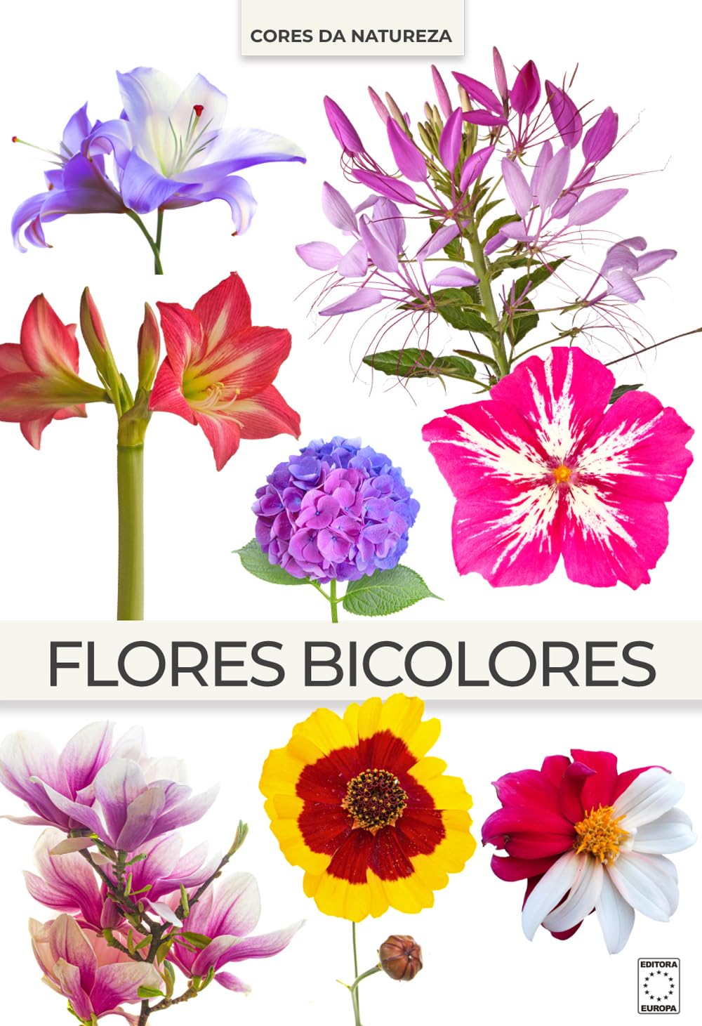 capítulo por capítulo baixar Coleção Cores da Natureza - Flores Bicolores