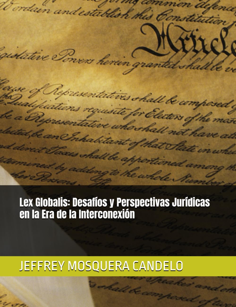 ler totalmente Lex Globalis: Desafíos y Perspectivas Jurídicas en la Era de la Interconexión (Spanish Edition)