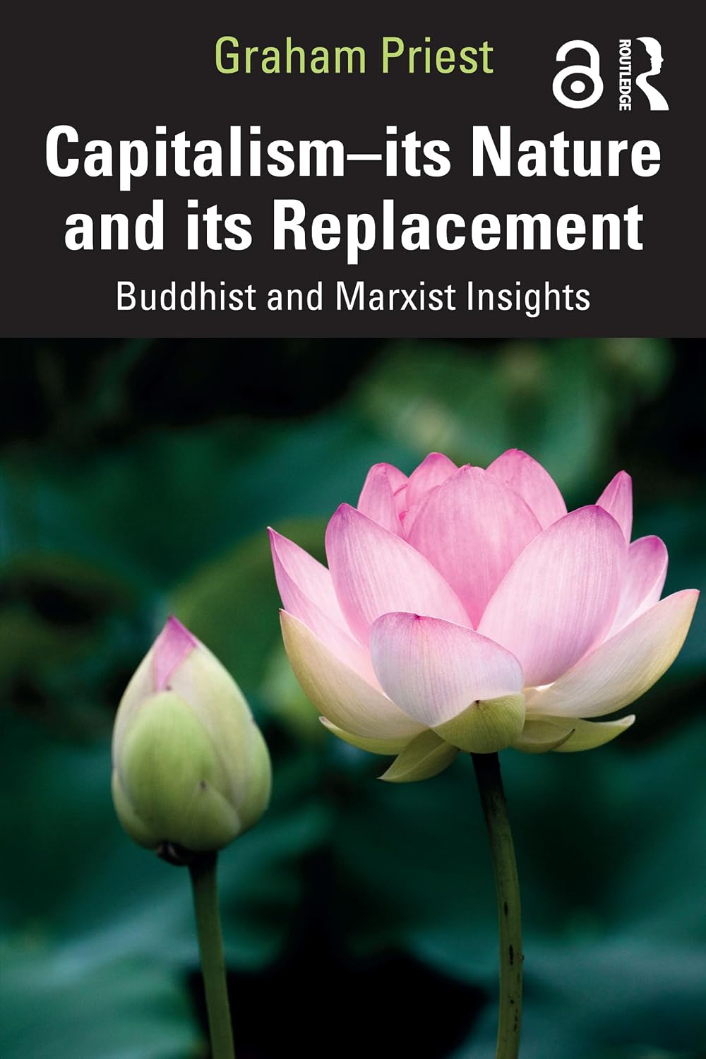 Capitalism--its Nature and its Replacement: Buddhist and Marxist Insights (English Edition) baixar livro de graça