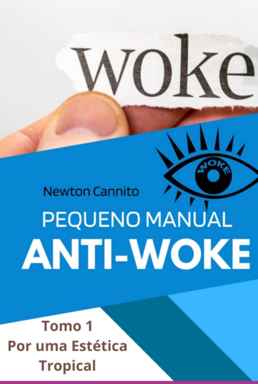 Pequeno Manual Anti-woke baixar livro de graça