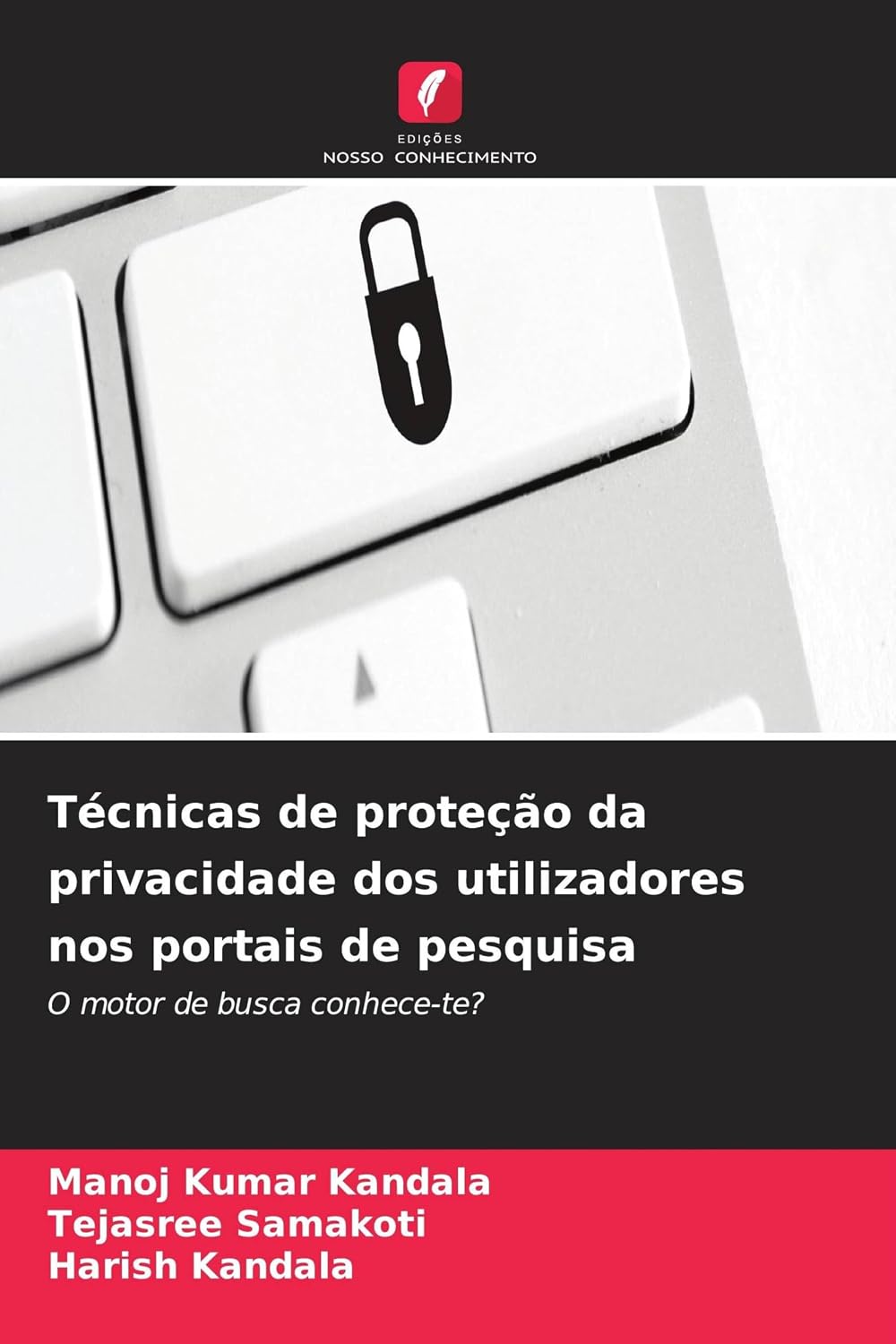 Técnicas de proteção da privacidade dos utilizadores nos portais de pesquisa: O motor de busca conhece-te? baixar o livro de graça