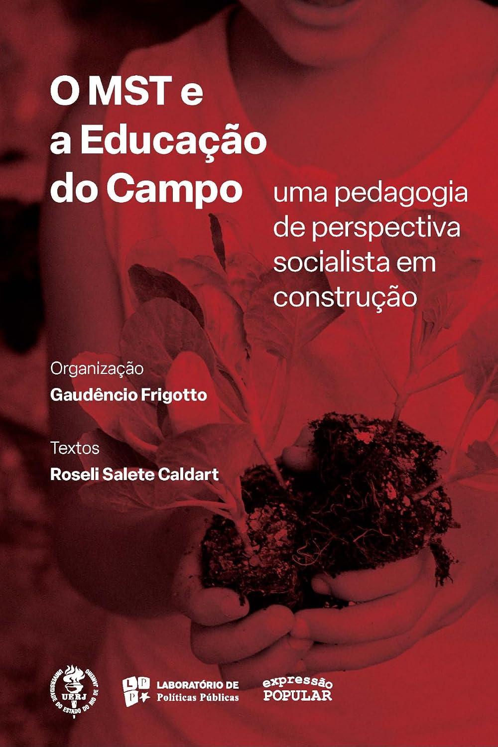 ler totalmente O MST e a educação no campo: uma pedagogia de perspectiva socialista em construção