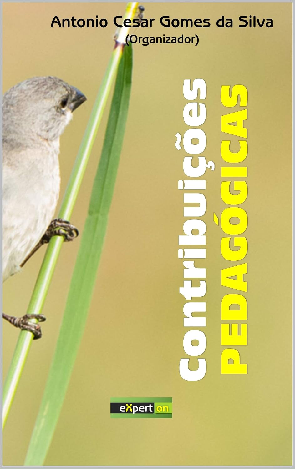 ler totalmente Contribuições pedagógicas