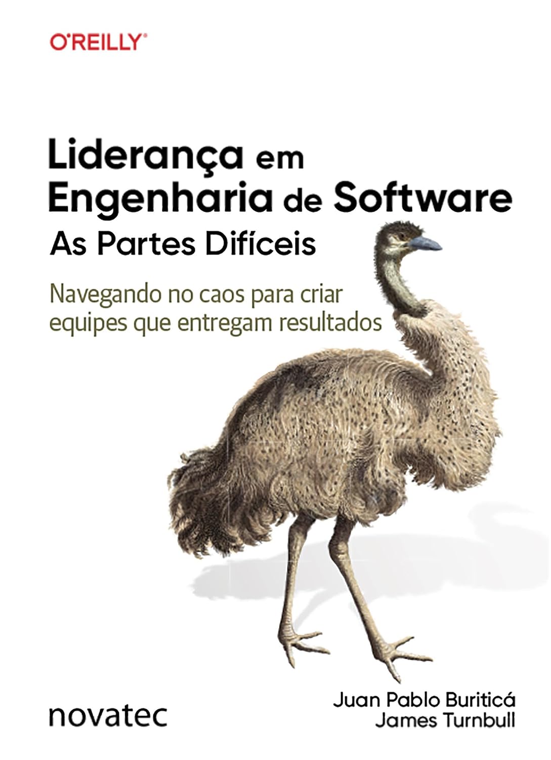 ler totalmente Liderança em Engenharia de Software – As Partes Difíceis: Navegando no caos para criar equipes que entregam resultados