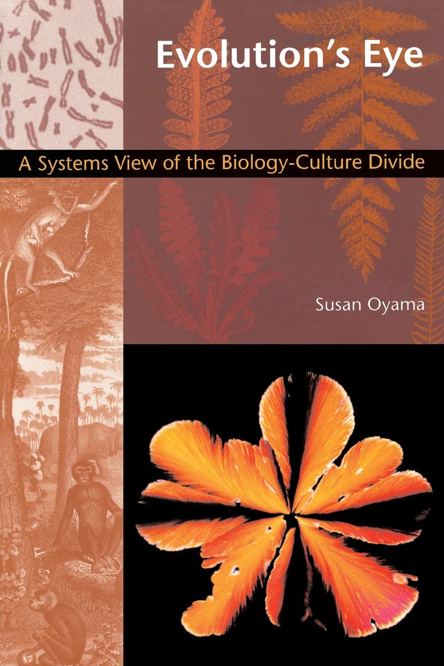 capítulo por capítulo baixar Evolution's Eye: A Systems View of the Biology-Culture Divide