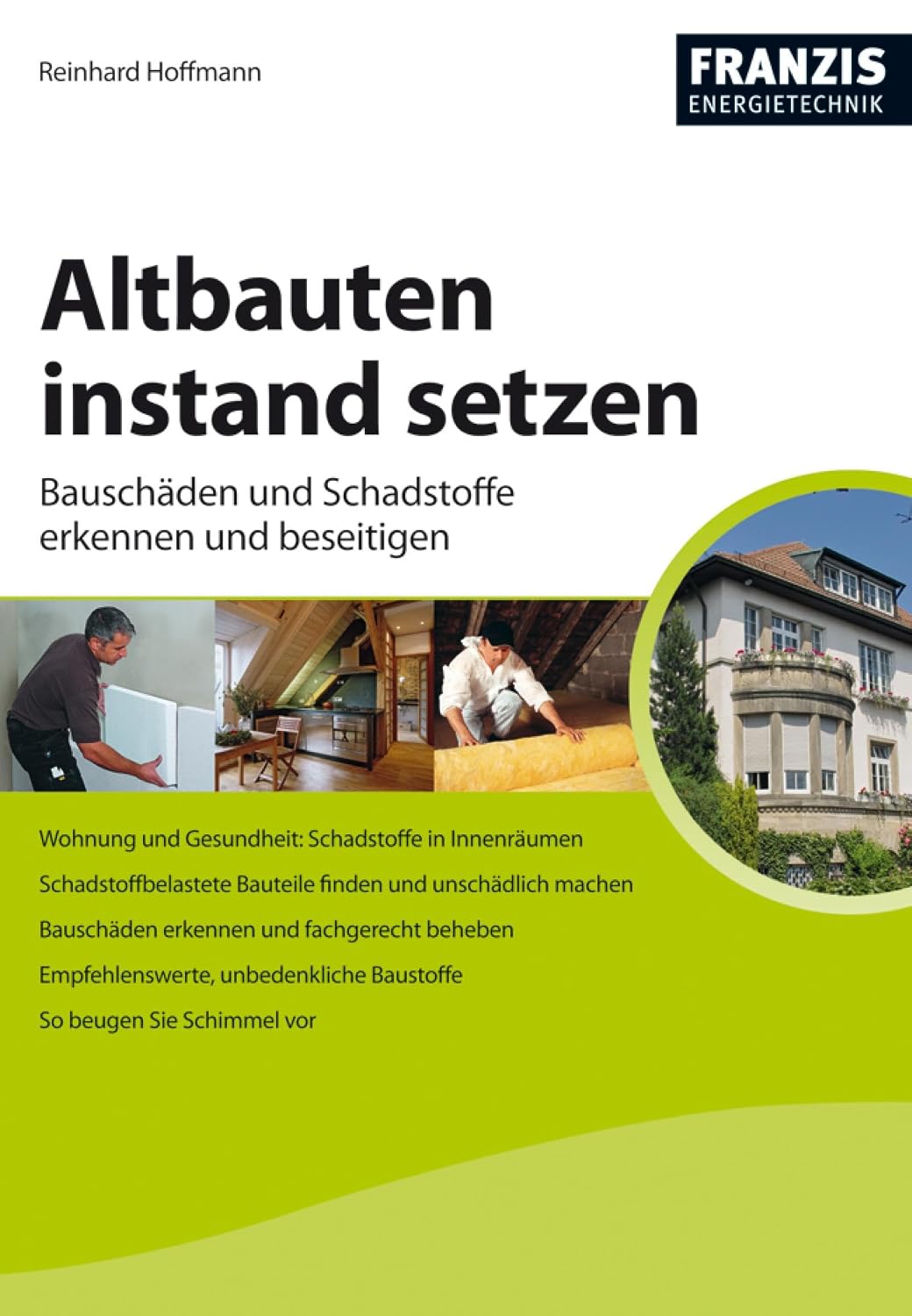 capítulo por capítulo baixar Altbauten instand setzen: Bauschäden und Schadstoffe erkennen und beseitigen (Heimwerken) (German Edition)