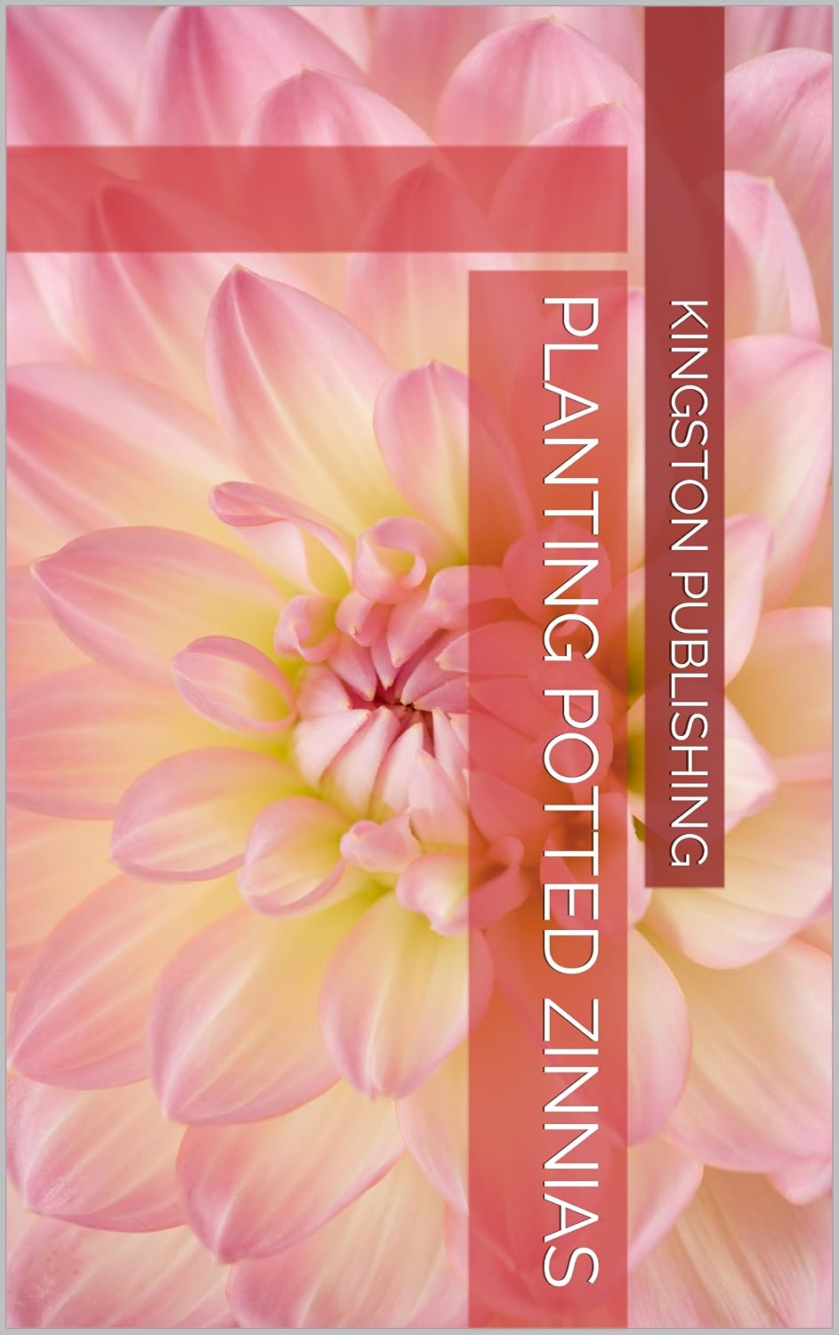 Planting Radiant Potted Zinnias (Transformative Gardens) (English Edition) baixar o livro de graça