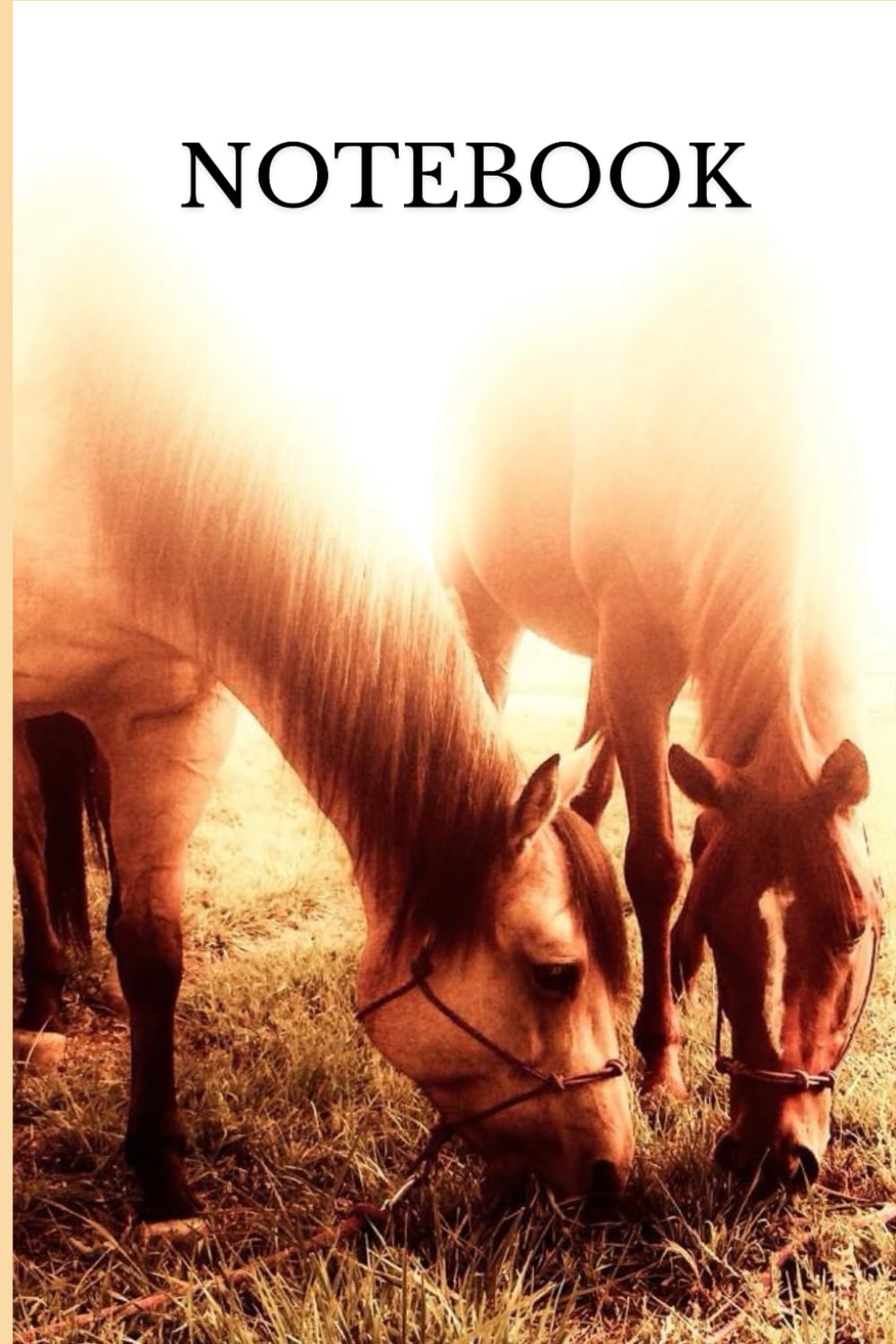 Notebook: horse equestrian blank style lined notebook baixar livro de graça