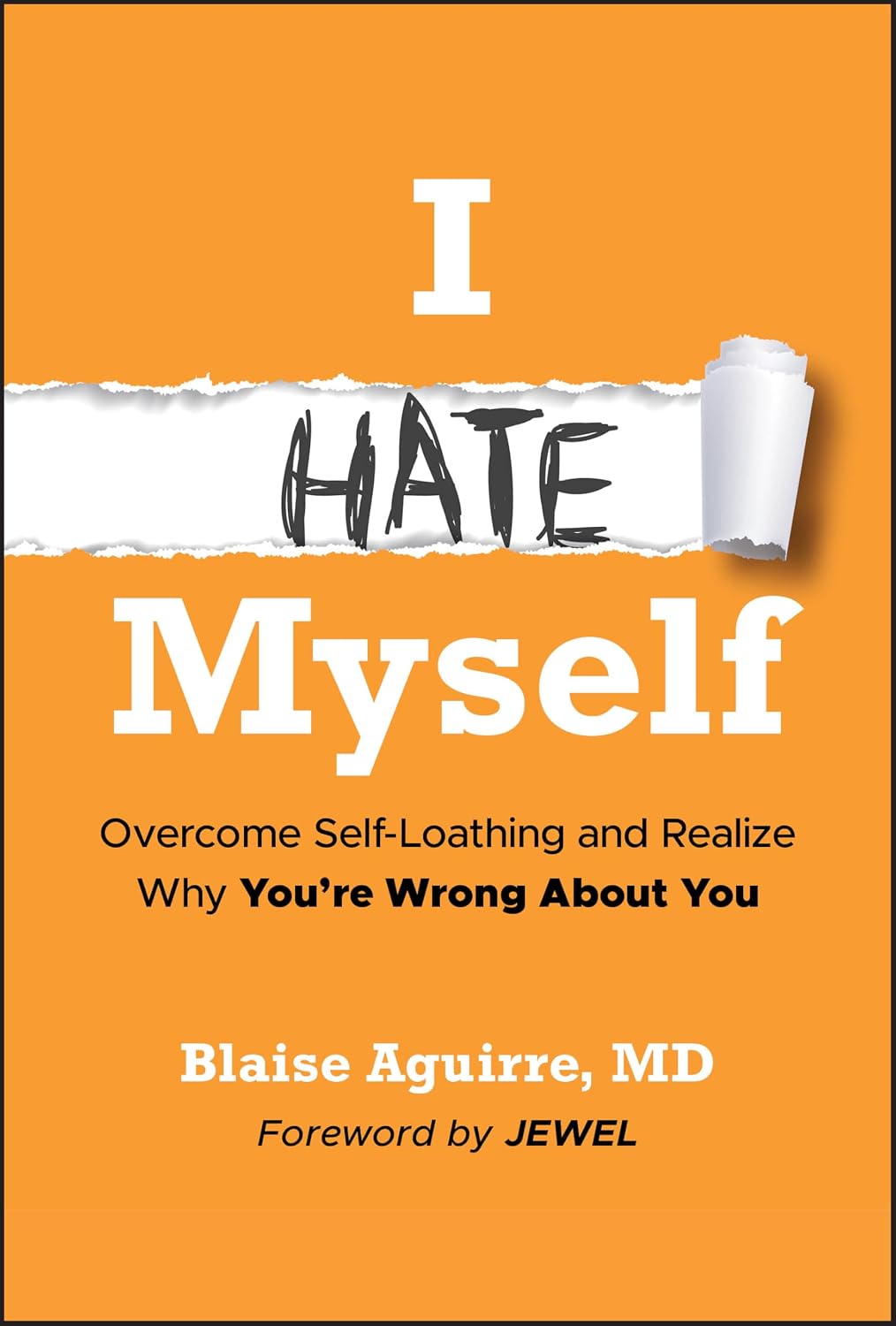 I Hate Myself: Overcome Self-Loathing and Realize Why You're Wrong about You baixar o livro de graça