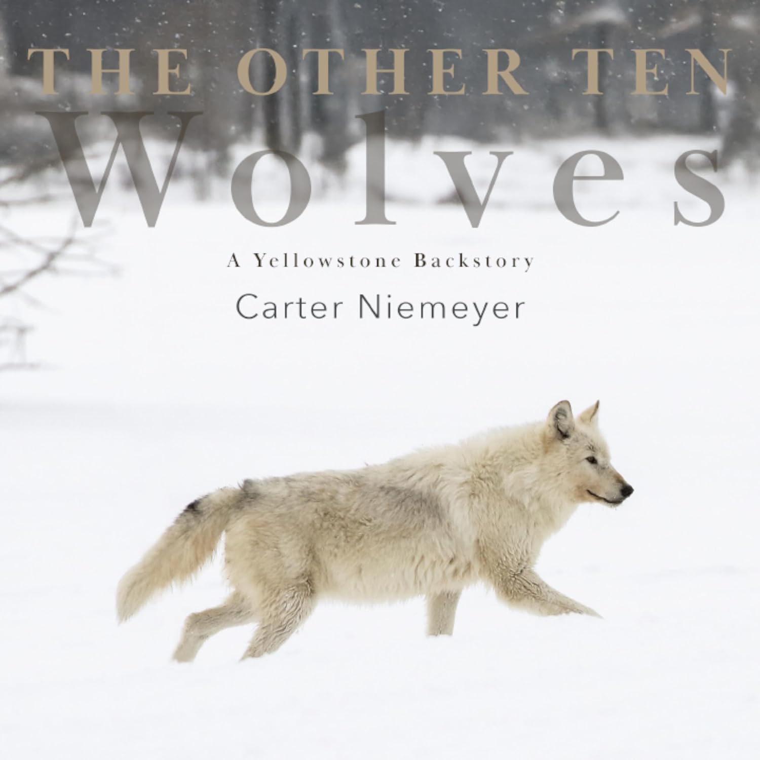 The Other Ten Wolves: A Yellowstone Backstory