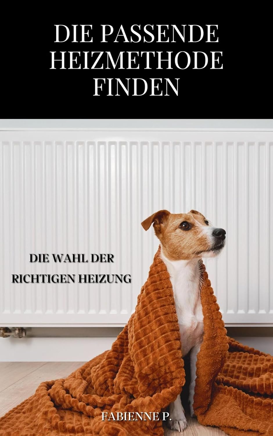 capítulo por capítulo baixar Die passende Heizmethode finden: Die Wahl der richtigen Heizung (German Edition)
