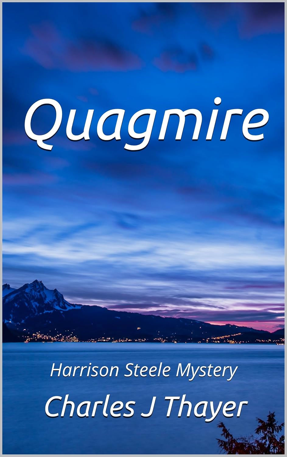 Quagmire (Harrison Steele Mystery Book 2) (English Edition) baixar o livro de graça