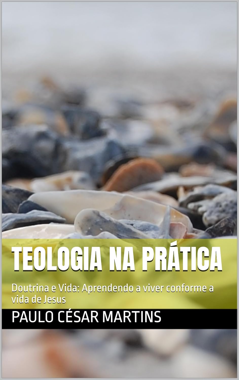 TEOLOGIA NA PRÁTICA: Doutrina e Vida: Aprendendo a viver conforme a vida de Jesus baixar livro de graça
