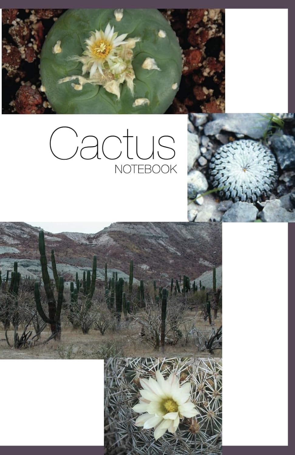 ler totalmente Cactus Notebook