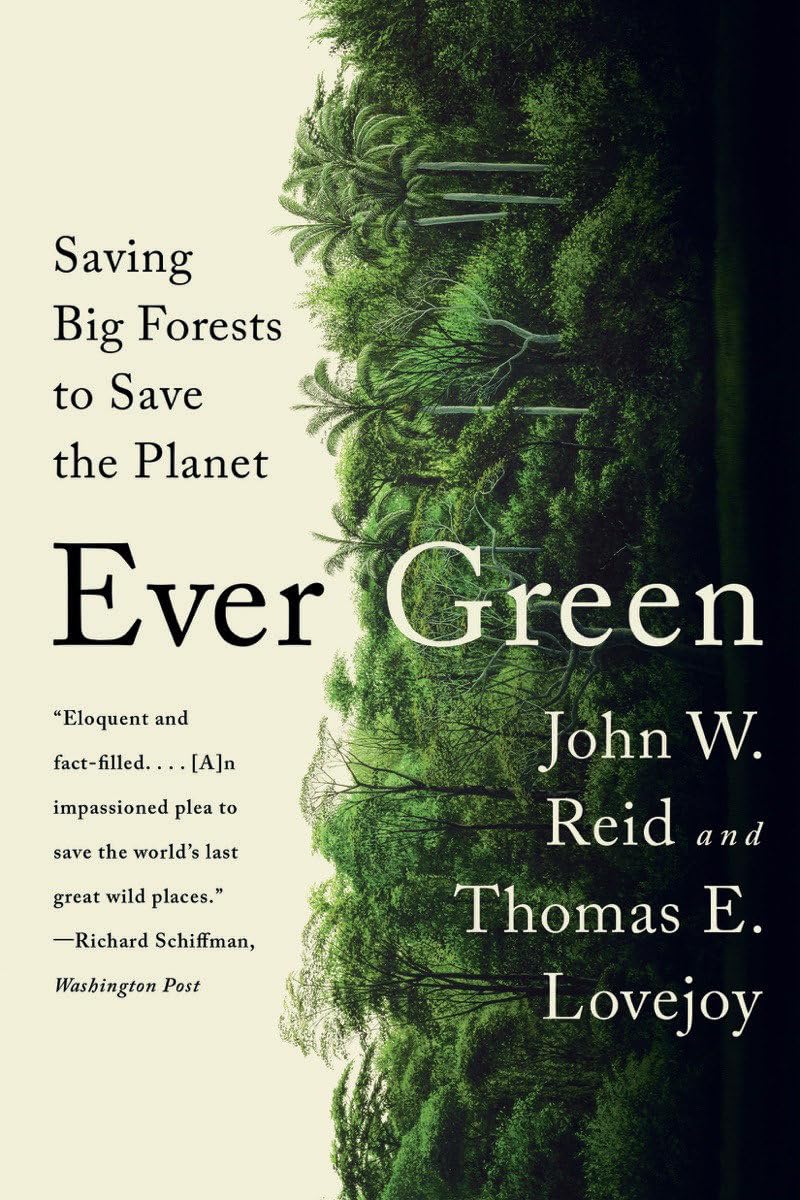 ler totalmente Ever Green: Saving Big Forests to Save the Planet